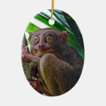 Tiny Philippine tarsier Christmas Ornaments