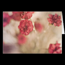 Tiny Pink Flowers cards