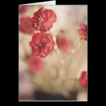 Tiny Pink Flowers cards