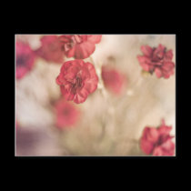 Tiny Pink Flowers postcards