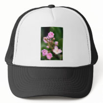 Tiny Pink Mesh Hats
