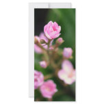 Tiny Pink Customized Rack Card