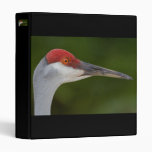 Tiny Red Feathers Binders
