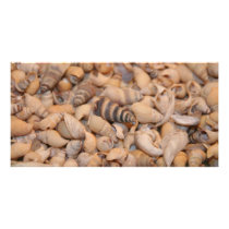 Tiny sea shells personalized photo card
