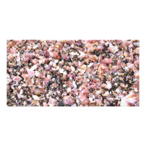 Tiny sea shells personalized photo card