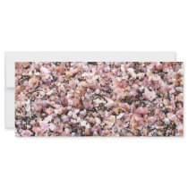 Tiny sea shells custom rack card