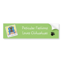 Tiny the Chihuahua bumper stickers