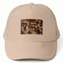 TINY VILLAGE PLACE TRUCKER HATS