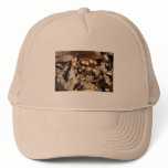 TINY VILLAGE PLACE TRUCKER HATS