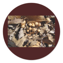 TINY VILLAGE PLACE stickers