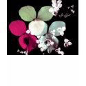 TIny Violets t-shirts