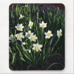 Tiny White Daffodils mousepads