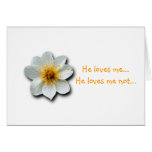 Tiny White Flower Cards