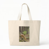 Tiny Wild Mushroom bags
