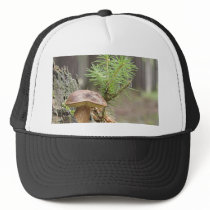 Tiny Wild Mushroom hats by lifesphere Tiny Wild Mushroom hats