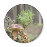 Tiny Wild Mushroom Refrigerator Magnet