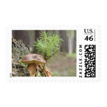 Tiny Wild Mushroom postage