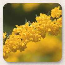 Tiny Yellow Flowers Beverage Coaster