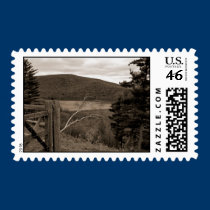 Tioga Downs, Pa   Postage Stamp