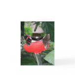 Tipsy Trio Greeting Card
