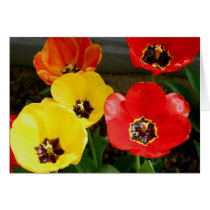 Tiptoe through the... cards by lioneyes Tiptoe through the... cards