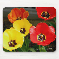 Tiptoe through the... mousepads by lioneyes Tiptoe through the... mousepads