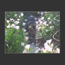 "Tiptoe through the primrose" postcards by Victoreeah "Tiptoe through the primrose" postcards