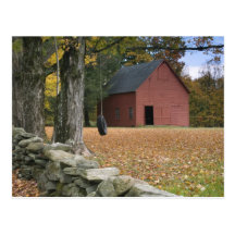 Tire swing along a road in Southern Vermont, Post Card