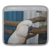 Tired Cockatoo Sleeve For iPads