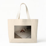 TIRED DOGGIE BAGS