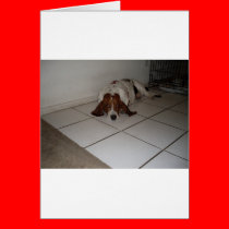 TIRED DOGGIE cards