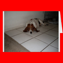 TIRED DOGGIE cards