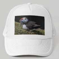 Tired Fisher Puffin Hat