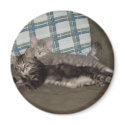 Tired Kitten Magnet