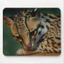 Tired kitty mousepad