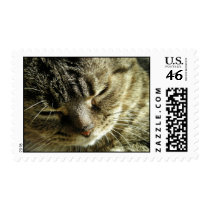 Tired Kitty postage by mlane53 Tired Kitty postage