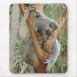 Tired Koala Mouse Pad