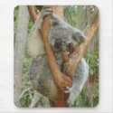 Tired Koala mousepads