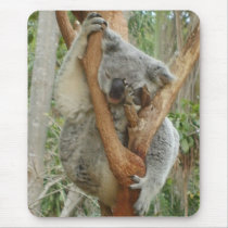 Tired Koala mousepads