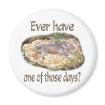 Tired Squirrel magnets