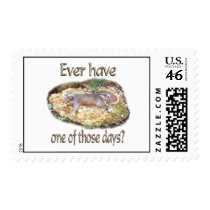 Tired Squirrel Postage Stamp