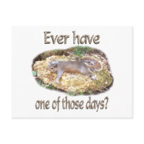 Tired Squirrel Post Card