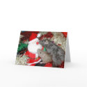 Tish and Vixen mug Santa cards