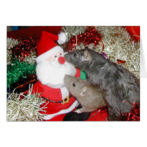 Tish and Vixen mug Santa cards