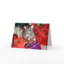 Tish's parcel cards