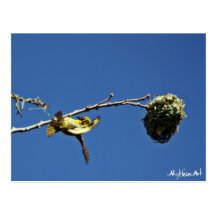 tisserain gendarme and his nest post cards