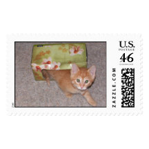 "Tissue Box Kitty"  Postage