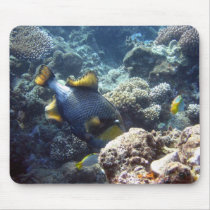 Titan Triggerfish on the Great Barrier Reef mousepads by tmandesigns Titan Triggerfish on the Great Barrier Reef mousepads