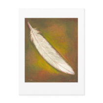 Titled:  Feather - beautiful unique drawing ART postcards