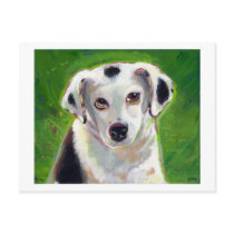 Titled: I Am Love ~ devotion spotted dog pet art postcards by flyinggirl Titled: I Am Love ~ devotion spotted dog pet art postcards
